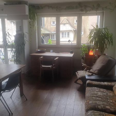 Ferienwohnung La Puisatiere 80 M2 Straßburg Exterior foto