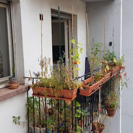Ferienwohnung La Puisatiere 80 M2 Straßburg Exterior foto