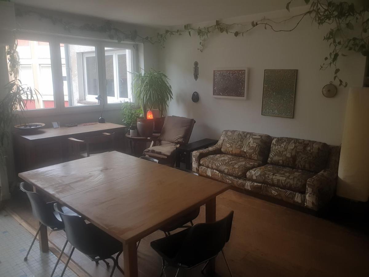 Ferienwohnung La Puisatiere 80 M2 Straßburg Exterior foto