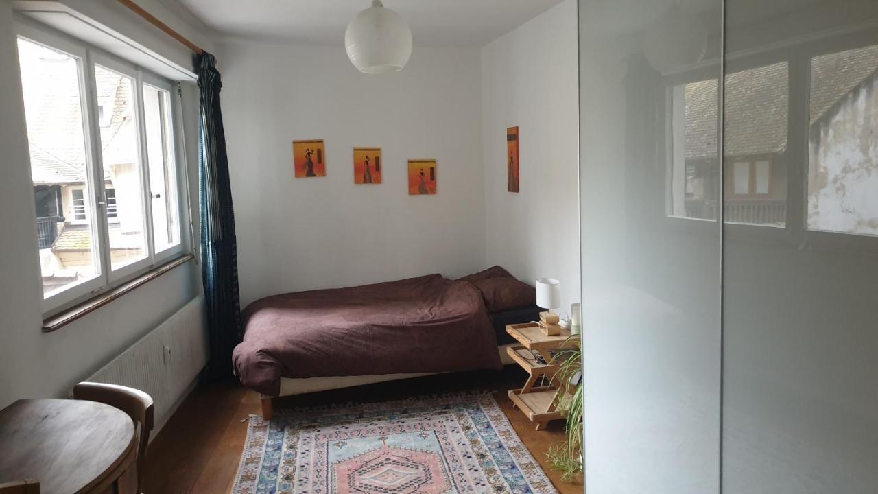 Ferienwohnung La Puisatiere 80 M2 Straßburg Exterior foto