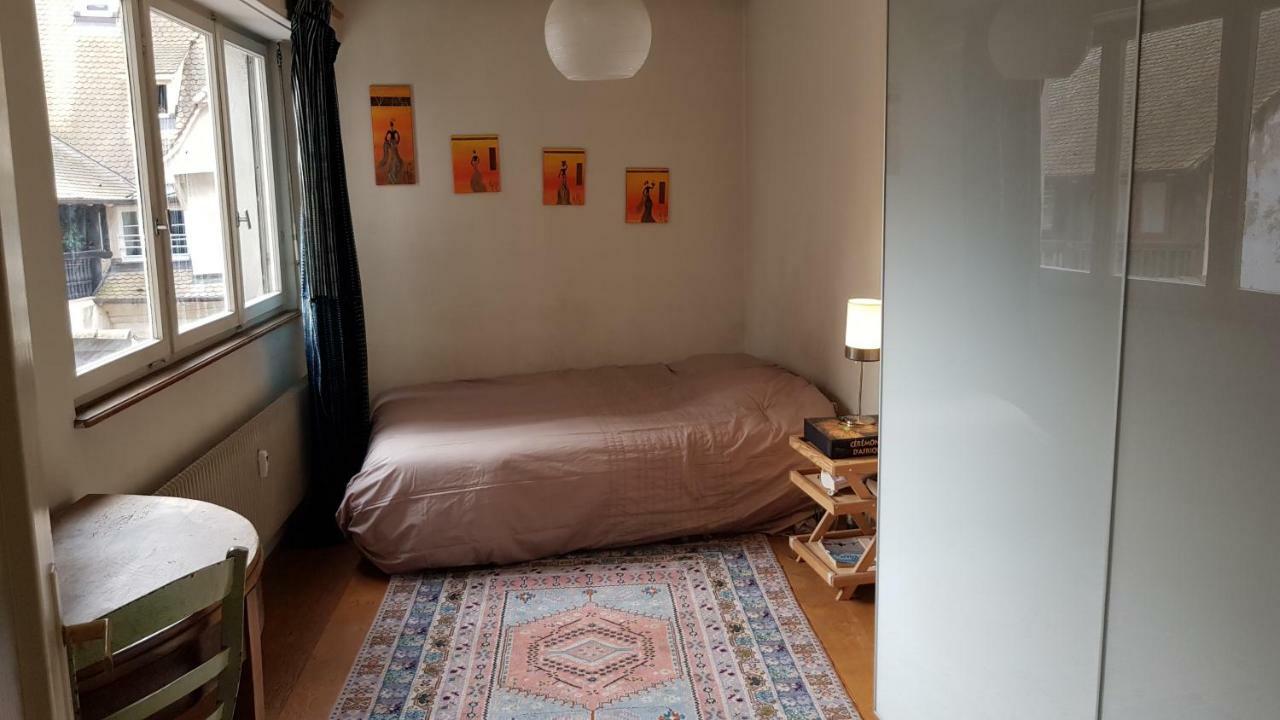 Ferienwohnung La Puisatiere 80 M2 Straßburg Exterior foto
