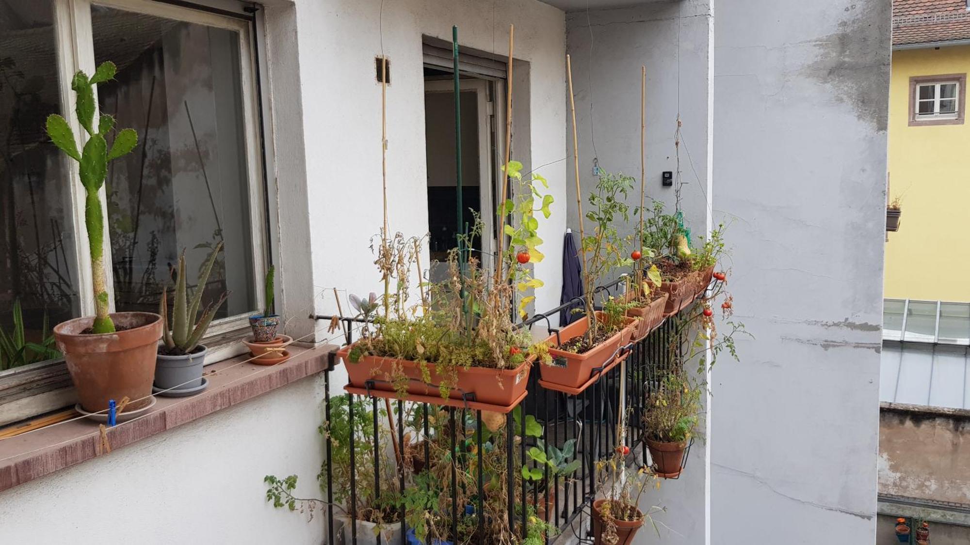 Ferienwohnung La Puisatiere 80 M2 Straßburg Exterior foto
